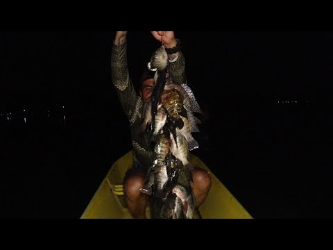 SE02EP050 Part 1 "PANGINGILAW " ISANG DIPANG BIYAYA - INSTANT HARVEST | Palakpakin Lake, SPC Laguna