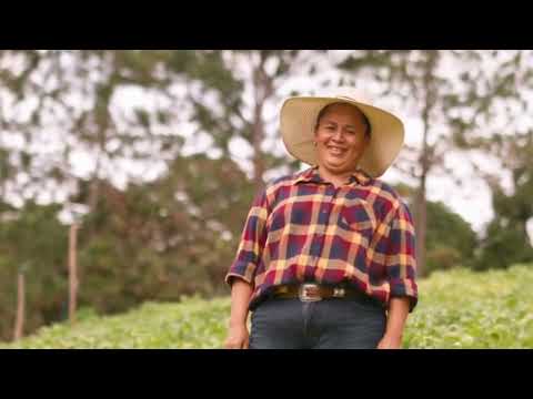 Sesame Street: Cookie Monster's Foodie Truck- Black Beans