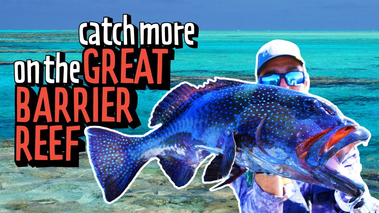 Fly Fishing the Great Barrier Reef on a Budget? Ripper Guide for First-Timers! 🎣
