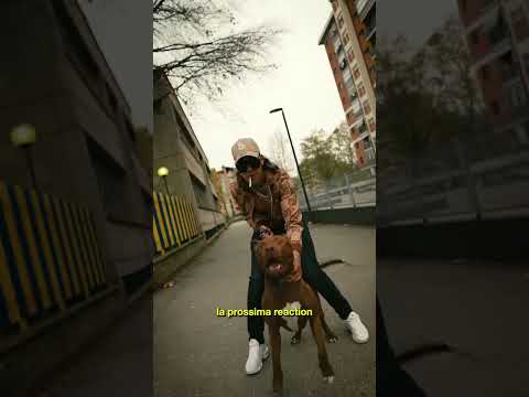 Mocro Yakuza - Hustlin Freestyle