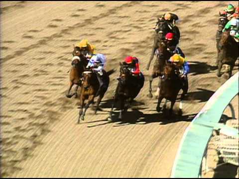 1993 Breeders' Cup Distaff