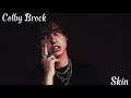 Colby Brock Skin Lyrics