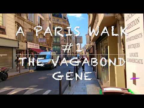 Paris walking tour #1 July 2018 Louvre, Pont Neuf and more HD Natural City Sounds