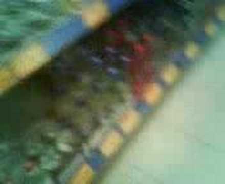 jugendliche gehen in plus einkaufen aachen