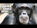 Grand Theft Auto Zoo 16