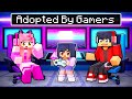 Adopted By the GAMER FAMILY in Minecraft!