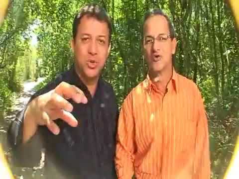 IRMÃOS VIANA  MÚSICA -  CRUZ PESADA