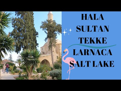 HALA SULTAN TEKKE, Larnaca Salt Lake, Cyprus