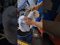 Chicken Cutting Style Short