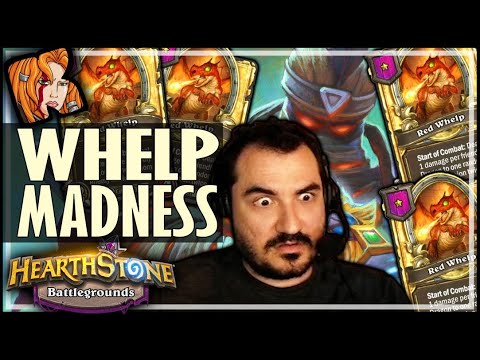 WHEN EVERYONE IS WHELP CRAZY! - Hearthstone Battlegrounds
