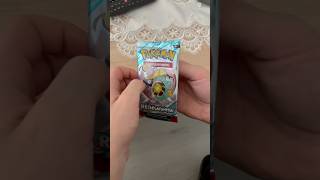 Pokémon Reisegefährten