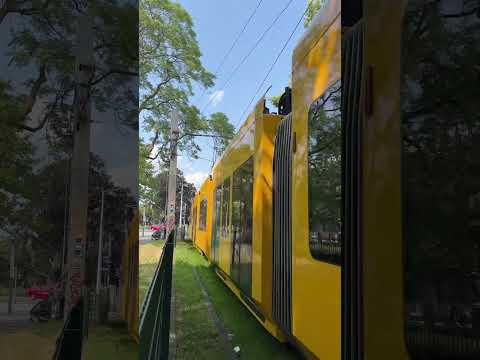 „Unsere Neue für Dresden“ #tramfluencer #tram #straßenbahn #ngtdxdd