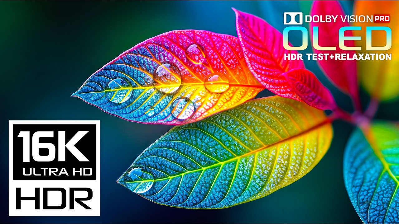Your Screen Deserves This Stunning OLED Display TEST | 16K HDR Dolby Vision 120FPS | 8K/4K Video TV