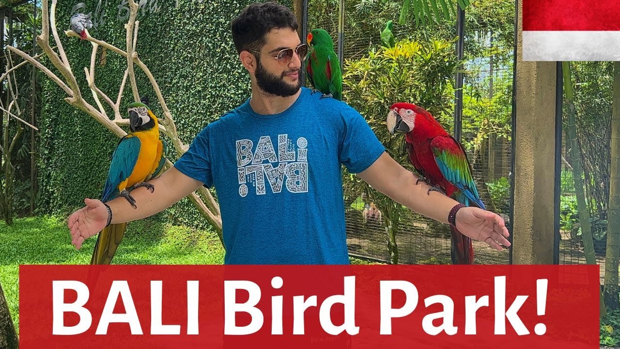 A traveler embarks on an exhilarating exploration of Bali's enchanting Bird Park.