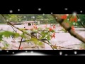 Chinnamma Adi Kunji Pennamma Song From Ridhinrosh