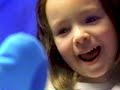 Opening To Blue S Clues Blue S BIG Musical Movie 2000 VHS