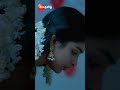 Karthigai Deepam கார்த்திகை தீபம் EPI 634 Mon Sat 9 PM Zee Tamil Short