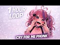 CRY FOR ME 1 HOUR BASS BOOSTED PHONK IRONMOUSE