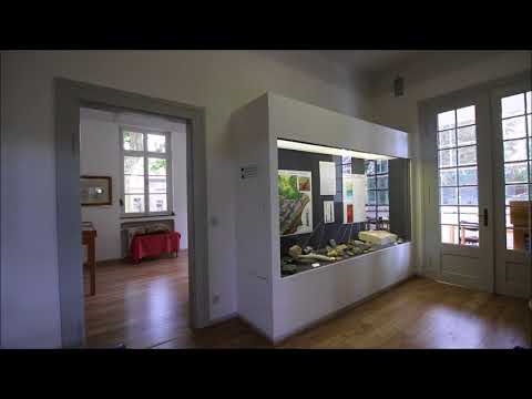 Göhltalmuseum Kelmis 13 07 2017