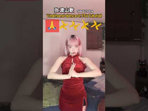 실시간 가장 핫한 중국 손댄스 🇨🇳 느리게 배우기 튜토리얼 弥渡山歌 tutorial