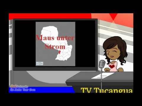 Wochenschau 22.12.12