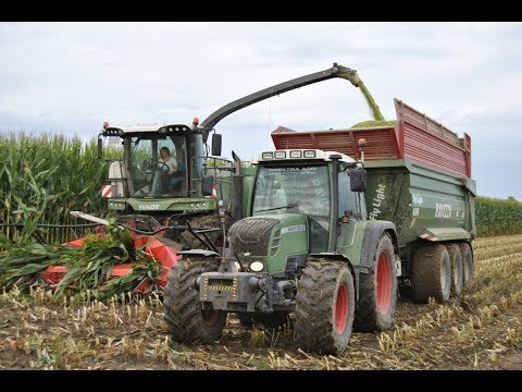 Fendt Katana 65 & Kemper Champion 460 | Mais Silage 2018 | Rinetta Team