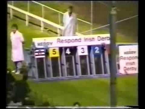 1991 Irish Greyhound Derby