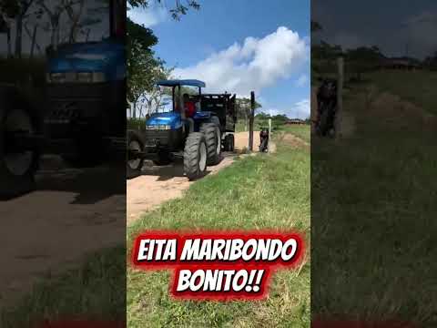 secretaria de agricultura de Maribondo/AL não tem dia, hora ou lugar