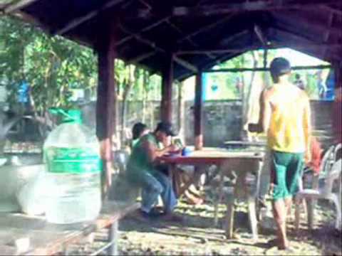 Aromin Family Reunion