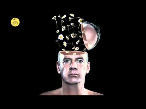 FatBoySlim 'Star 69' (Audio Bullys Plastic Associates Remix)