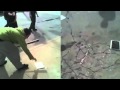 Apple IPad Explodes Blends And Is Beaten