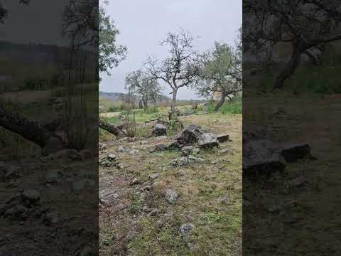 Venta Lote de 2.000 m2. El Parador de la Montaña. Santa Rosa de Calamuchita