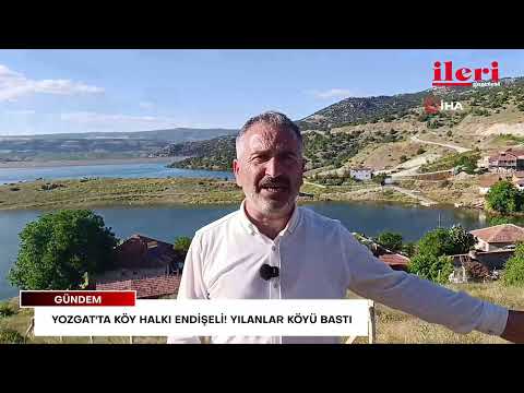 Yozgat'ta köy halkı endişeli! Yılanlar köyü bastı | İleri Gazetesi