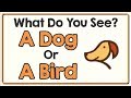 12 ILLUSIONS THAT WILL TEST YOUR BRAIN
