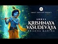 Om Krishnaya Vasudevaya Haraye Paramatmane Powerful Krishna Mantra 108 Times