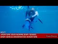 Upnext Baby Genius Underwater Adventure