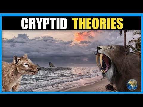 A Response to Cryptid Theories