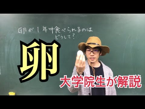 生物生産学科 卵が1年中食べられるのはどうして？【身近な食品の疑問】