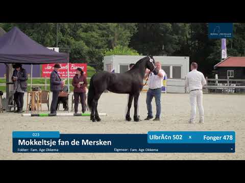 Fokdag Groningen Drenthe combinatie 14-8-2021