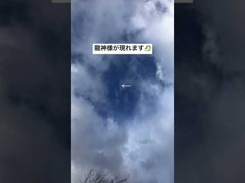 どの動物が庭に穴を掘っているのかを知るにはどうすればよいですか?これらのサインがあなたに教えてくれます！  庭園