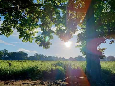 Psalm 27:4 Strings for Christ