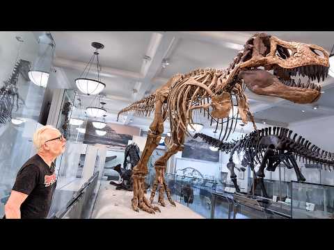 Adam Savage’s Tested and American Museum of Natural History