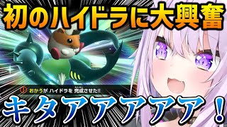【カービィのエアライダー】初めて伝説のマシン「ハイドラ」を完成させ大興奮するおかゆ【猫又おかゆ ホロライブ】