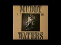 Muddy Waters -  I'm A King Bee