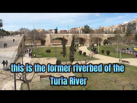 The Turia Gardens is one of Valencia's most popular public spaces