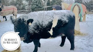 Episode 130 - WINTER IS COMING: How We’re Preparing for the Big Storm!