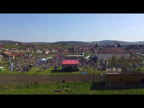 Jazz in The Park in Bogata, Mures