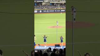 【Team Taiwan】#遍地開花 台灣捷克國際交流賽@台北大巨蛋 20241103 #台湾チア #cheerdance #cheerleading  #teamtaiwan