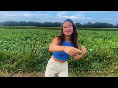 Dansen met juf Eline - Vakantie Bosdag ‘24