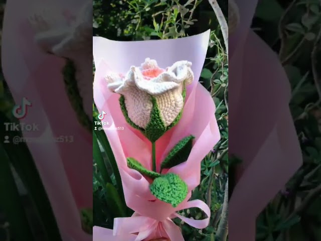 Vídeo relacionado con BoloShine Kit de Ganchillo para Principiantes Adultos - Rosas y Ramo de Flores con Tutoriales en Vídeo Paso a Paso, Completo Crochet Flower Set, Arte Hecho a Mano Regalo para Madre Hermana